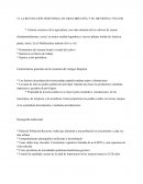 LA REVOLUCIÓN INDUSTRIAL EN GRAN BRETAÑA Y SU DIFUSIÓN (1770-1870)