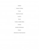 TRABAJO COLUMNA VERTEBRAL