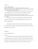 Comentario. Cultura e identidad de México