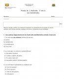 PRUEBA DE INVERTEBRADOS s/r