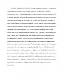 BOSQUE ANDINO-PATAGÓNICO