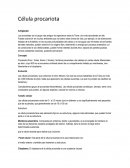 Célula Procariota. Antigüedad.Concepto