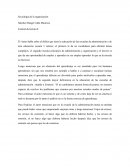 Sociología de la organización