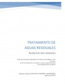 SISTEMAS DE TRATAMIENTO DE AGUAS RESIDUALES DOMÉSTICAS Y DE BENEFICIO DEL CAFÉ