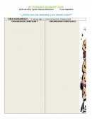 ACTIVIDADES DIAGNÓSTICAS Jardín de niños “Ignacio Manuel Altamirano”