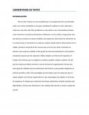 COMENTARIO ORGANIZACION DEL TRABAJO