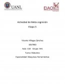 Actividad de Meta cognición Etapa 3