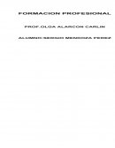 ¿Qué entiendes por formación profesional?