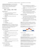 Reporte de Practica electronica