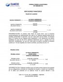 INDICADORES FINANCIEROS RAZON DE LIQUIDEZ