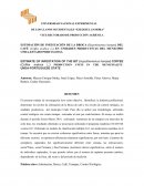 ESTIMACIÓN DE INFESTACIÓN DE LA BROCA (Hypothenemus hampei) DEL CAFÉ (Coffea arabica L.)