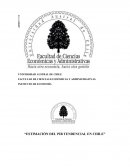 PIB tendencial Chile