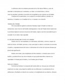 La diferencia entre las conductas personales de los Servidores Públicos y actos de autoridad