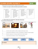 EXAMEN-ESPAÑOL s/r