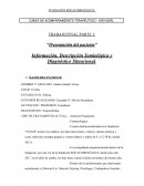 Presentación del paciente. Información, descripción semiológica y diagnóstico situacional