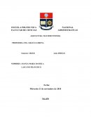 TRABAJO DE MACRO CUESTIONARIO