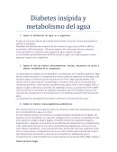 Diabetes insípida y metabolismo del agua