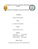 Informe Ensayo Literario