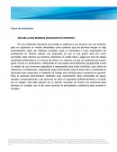 ESCUELA DOS MUNDOS (DIAGNOSTICO INTERNO)