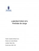 Informe de laboratorio. Perdidas de carga