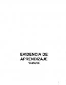 EVIDENCIA DE APRENDIZAJE Vectores