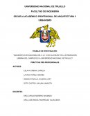 Diagnóstico situacional del centro urbano informal Los Claveles