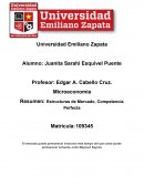 Estructuras de Mercado, Competencia Perfecta