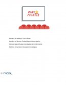 Desarrollo e innovación tecnológica