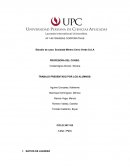 Estudio de caso: Sociedad Minera Cerro Verde S.A.A