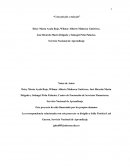 Pío pío más pío: Un estudio de caso sobre problemas logísticos y propuesta de mejora estratégica