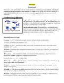 Embriología Neurodesarrollo