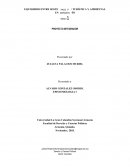 Equilibrio entre sostenibilidad turistica y ambiental