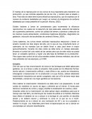 Manejo reproductivo en ovinos