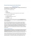 Resumen Diseño Organizacional Ruben Moleón