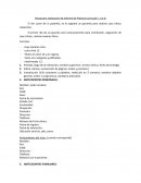 Pauta para realización de Informe de Práctica Curricular I, II y III