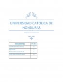 EL PODER DEL CONTACTO