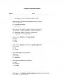 Prueba Cs Sociales 2 básico