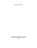 Gerencia de mercadeo. Marketing Internacional