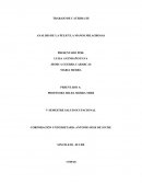 ANALISIS DE LA PELICULA MANOS MILAGROSAS