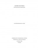 Caso practico unidad 3 investigacion de mercados