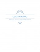 CUESTIONARIO NIAS 210, 315, 500-501 Y GUIAS DE AUDITORÍA 6100-6160