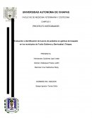 Parásitos en gallinas de traspatio