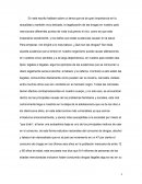 Legalización de drogas en México