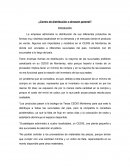 Centro de Distribución Optimización