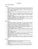 Cap. 7. Técnicas de auditoria