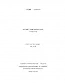 Investigacion de mercados Las tiendas Apple