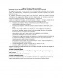 Imágenes Bitmap vs imágenes vectoriales