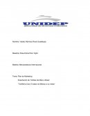 Plan de Marketing Exportación de Tortillas de Maíz a Brasil