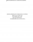 DERECHO ADMINISTRATIVO Y DERECHO PENAL ECONÓMICO