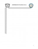 CPTPP (TRATADO INTEGRAL Y PROGRESISTA DE ASOCIACION TRANSPACIFICA)